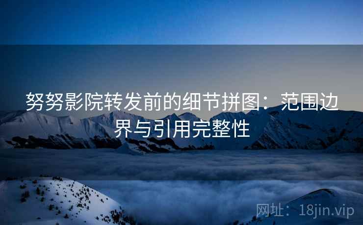 努努影院转发前的细节拼图：范围边界与引用完整性